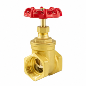 Gate Valve